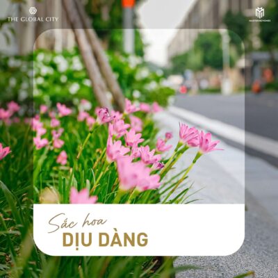 Sắc hoa diệu dàng